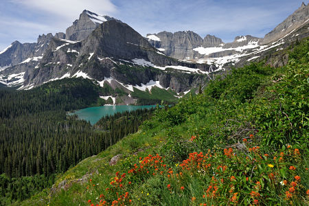 Aluguel Carros Montana