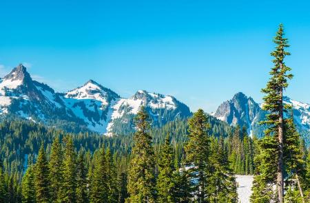 Locação Washington State